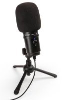 Zoom ZUM-2 - электретный конденсаторный USB микрофон
