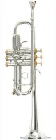 Trumpet C Stomvi Elite 5235 250-L - Professional C trumpet with standard mouthpipe. Rich dark timbre, precise intonation and good projection.