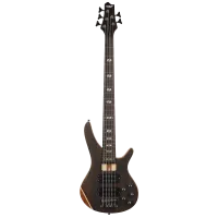 SQOE SB-SCT5BS sunburst бас гитара