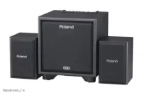 ROLAND CUBE MONITOR CM-110 - Акустическая система