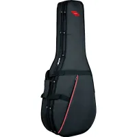 PROEL PFOAM20 - кейс для акустической гитары