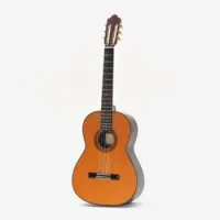 Esteve 9c/ b cd + кейс  классическая гитара 4/4, массив кедра/ палисандра, кейс, цвет натуральный