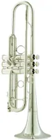 Труба Bb CarolBrass Legendary CTR-8060H-RLM(D)-Bb-S