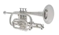 JP271SWS Корнет Bb, посеребренный, John Packer