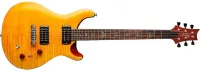 Электрогитара PRS PRS SE PAULS GUITAR AMBER