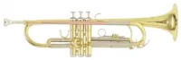 Труба Roy Benson TR-202 Bb