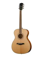 Parkwood P620-WCASE-NAT - Гитары иных форм
