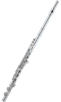 Flute Aidis FLC-624 - Advanced flute with French-style keys with split E mechanism and open holes. Silver-plated head and body, C-footjoint.