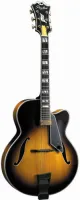 Archtop guitar Peerless Monarch - Large jazz 17-inch archtop with pressed solid spruce top and solid maple body. 625 mm scale, rosewood fretboard and details, floating mini-humbucker.