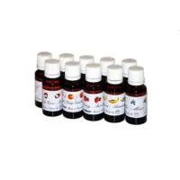 SFAT Fragrance Euroscent liquid, Mint / Мята 1000мл - расходная жидкость - ароматизатор для генератора ароматов SFAT EUROSCENT MACHINE