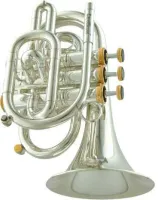 Карманная труба Bb CarolBrass CPT-3000-GLS-Bb-SG