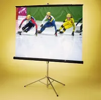 Экран Consul AV (1:1) 60/60" 152*152 XT1000E (MW)