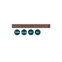 WI-PS150GF, Коммутатор неуправляемый PoE 700Вт, порты 48 PoE FE + 2 Combo GE/SFP