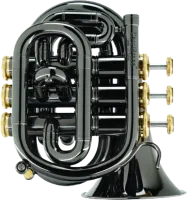 Мини-труба C CarolBrass CPT-1000-YSS-C-BG