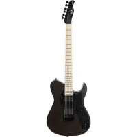 FGN J-Standard Iliad Dark Evolution JIL-DE664-ASHM TBF - Электрогитара