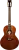 529323
