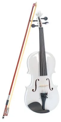 502529