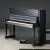254976