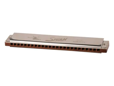 85028