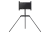 243832 243832