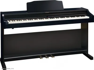 278091
