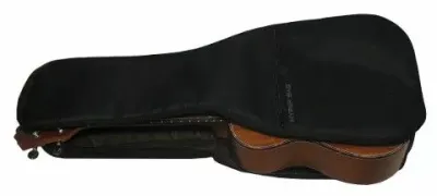 256481