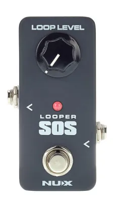 125081