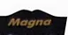 MAGNA / Китай