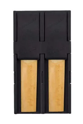 252825
