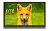 332777