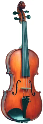 455905