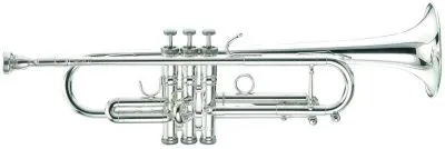 449005