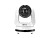 433917