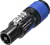 591703