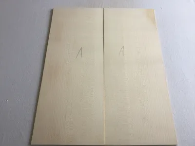51756