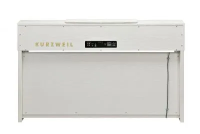 255029