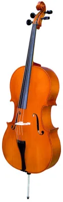 45795