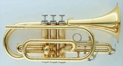 451331