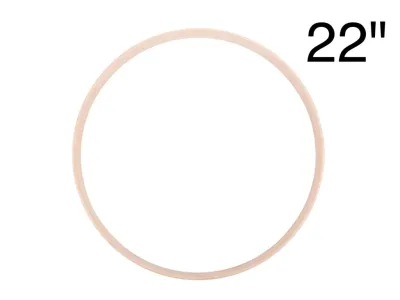 162558