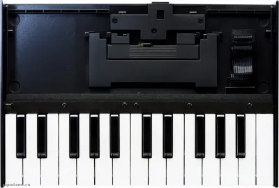 277326