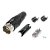 529719