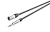 123625