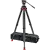 523374