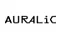 AURALIC / Китай