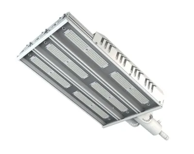 499560