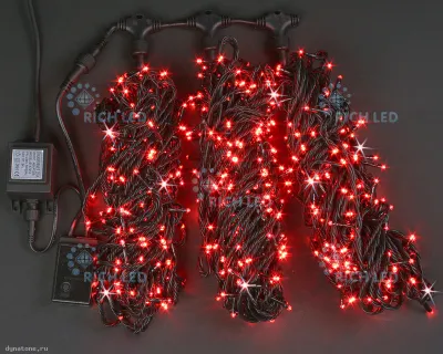 292893