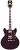 462646