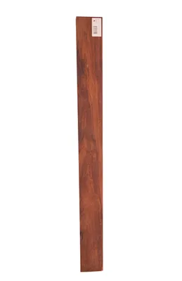 51876