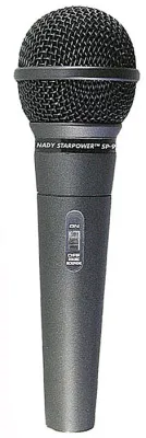 290295