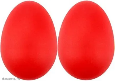 281578